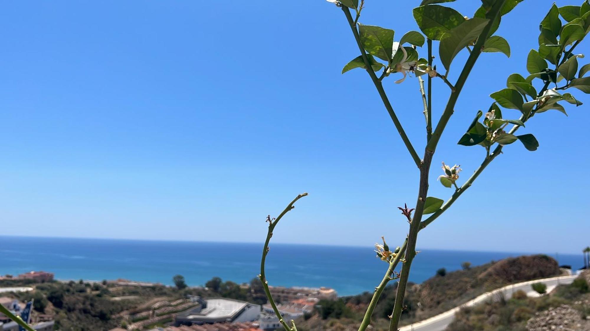 Rincon Idilia Lägenhet Rincón de la Victoria Exteriör bild